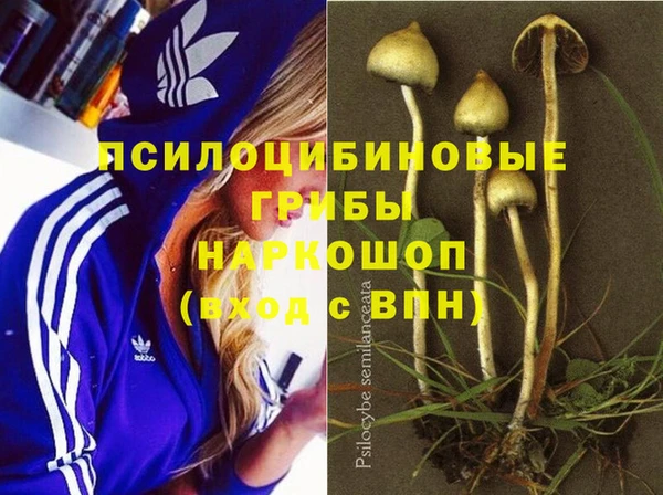 каннабис Алексеевка
