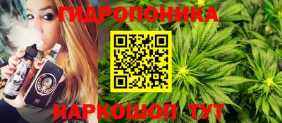 шишки Ликино-Дулёво