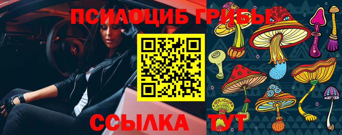 Псилоцибиновые грибы мицелий  Вход с VPN  даркнет сайт  Ишим 