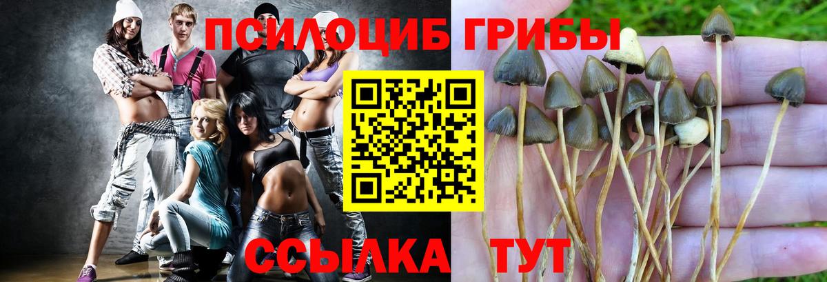 Галлюциногенные грибы Magic Shrooms Ишим